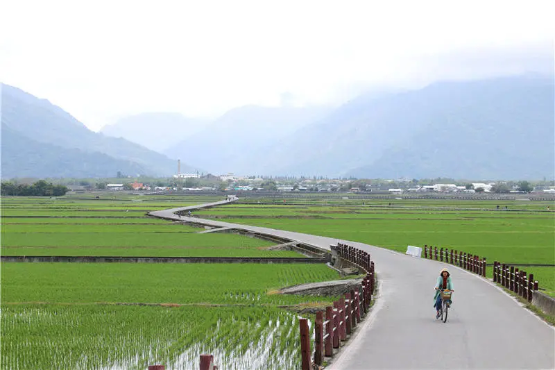 台東景點「伯朗大道」 /窩客 跟著小毛一起趴趴GO 提供