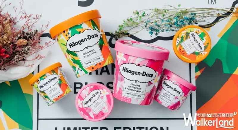 Häagen-Dazs / WalkerLand窩客島提供