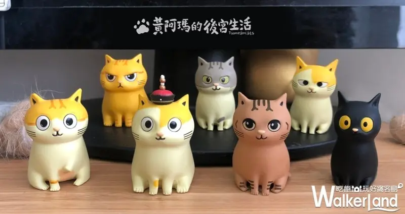 黃阿瑪的後宮生活 扭蛋公仔 / WalkerLand窩客島整理提供 未經許可不可轉載