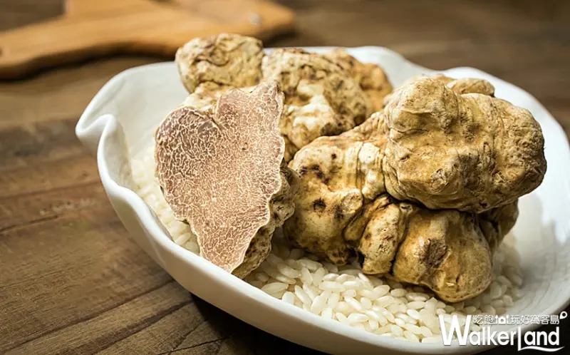 台北文華東方酒店Bencotto義大利餐廳