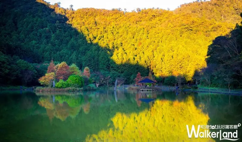 力麗觀光飯店 / WalkerLand窩客島整理提供 未經許可不可轉載