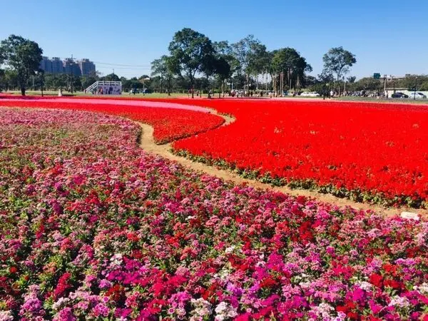 花舞霄裡HAKKA進行曲 /旅遊窩客 大海愛上藍天 提供