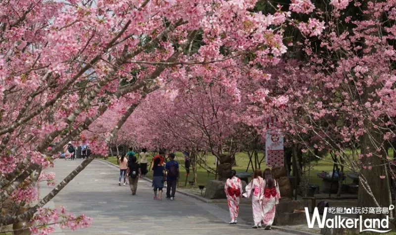 九族文化村 / WalkerLand窩客島提供