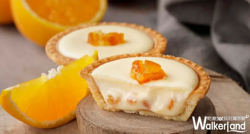 雙11光棍節  / WalkerLand窩客島提供