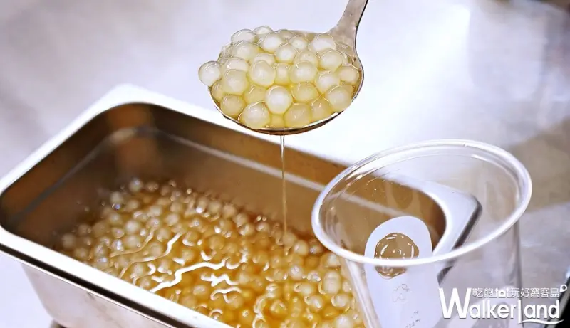 麥吉 machi machi / WalkerLand窩客島提供