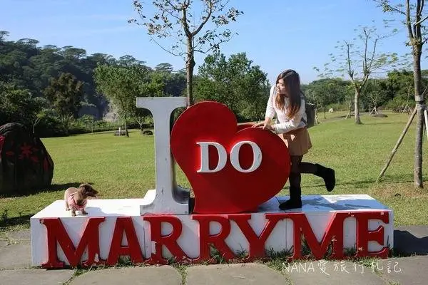 沉睡森林 只到228 / 旅遊窩客 安妮 提供