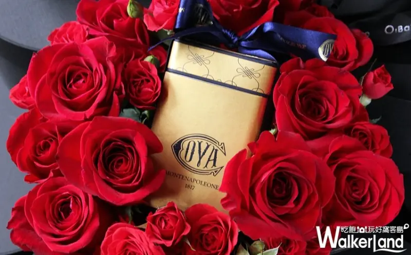 COVA / WalkerLand窩客島整理提供