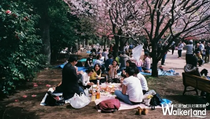 日雜時尚部落客 蔡欣妤 提供