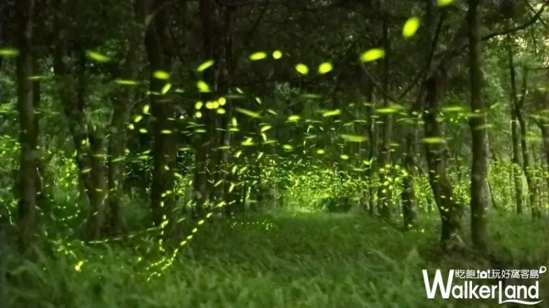 花蓮理想大地 / WalkerLand窩客島整理提供 未經許可不可轉載