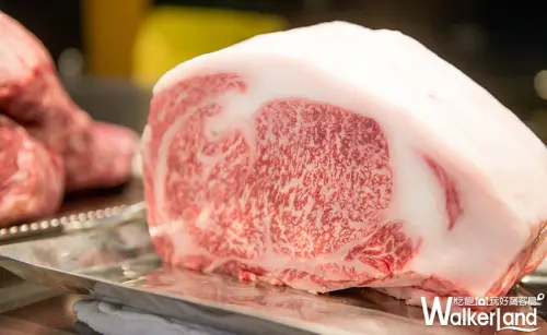 搶攻日本和牛市場！漢來美食推3600元套餐，南台灣老饕搶先品嚐。