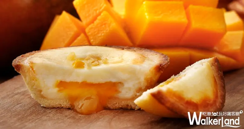 安普蕾修 芒果起司塔