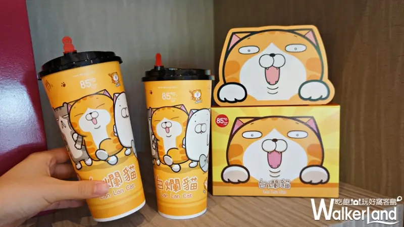 85ºC / WalkerLand窩客島提供