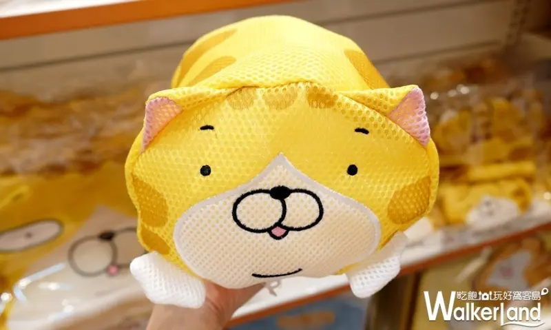 華山免費打卡「白爛貓87超商期間限定店」/ WalkerLand窩客島提供