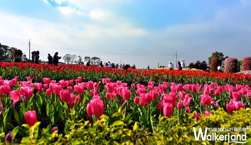 中社觀光花市 / WalkerLand窩客島整理提供