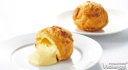 夏日北國甜點！拉提莎手工泡芙甜點專賣店「北海道生乳甜點」清爽上市！