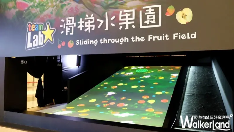 新北市「重返怪獸島」 / WalkerLand窩客島提供