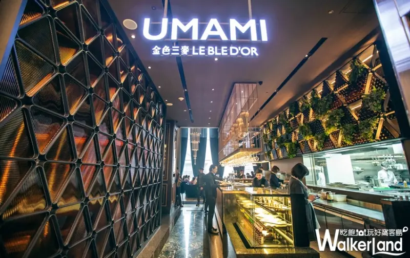 金色三麥UMAMI / WalkerLand窩客島提供