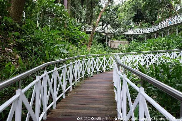 【嘉義。竹崎鄉】強烈激推！這裡結合芬多精森林步道與刺激感破表的天空走廊~竹崎親水公園