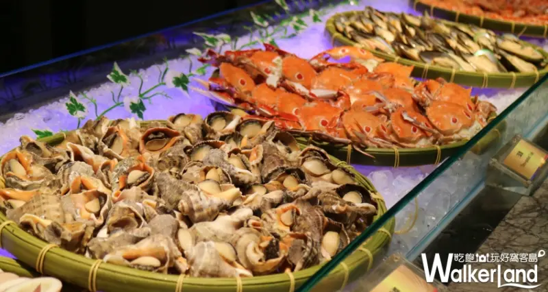 台北福華彩虹座 / WalkerLand窩客島整理提供