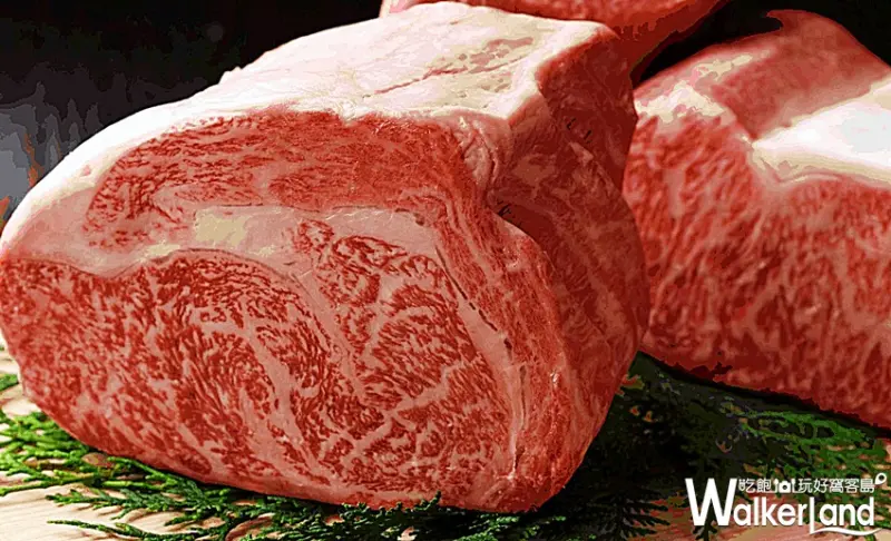 晶華日本和牛 / WalkerLand窩客島提供