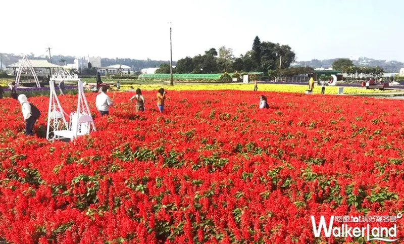 中社觀光花市 / WalkerLand窩客島整理提供