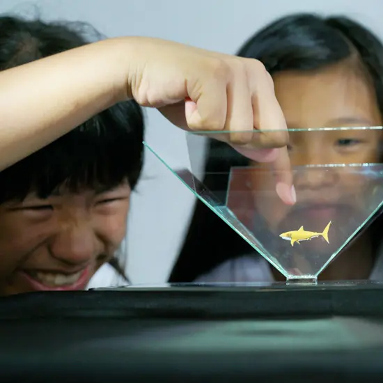 撈魚居然可以撈到河豚！VR科技體驗館推出在地生態遊戲，還有暑期優惠活動，讓親子度過知性又有趣的夏天。