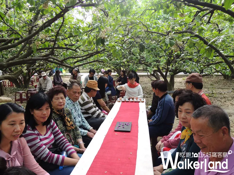 柚花,台南柚花,柚花巷,麻豆柚花,柚花藝術節