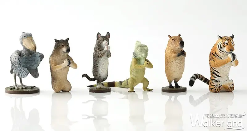 Animal Life祈 / WalkerLand窩客島提供