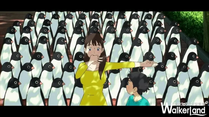 企鵝公路 / WalkerLand窩客島提供