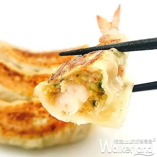 挑戰超狂傳奇！日銷200萬顆餃子「餃子の王將」來台週年慶，全台獨家限定「海老餃子」海鮮控絕對要吃。