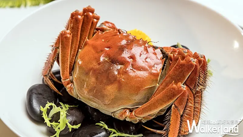 六福秋蟹 / WalkerLand窩客島提供