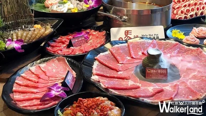 麻辣鍋吃到飽「新馬辣」板橋一號店 / WalkerLand窩客島提供