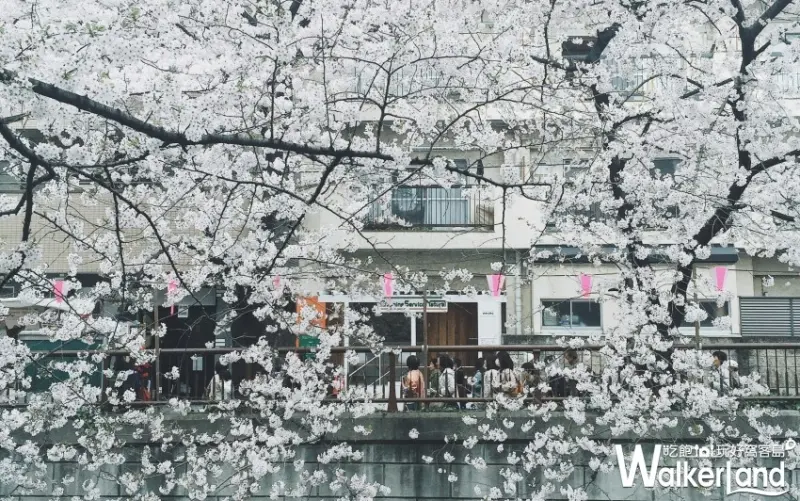 日雜時尚部落客 蔡欣妤 提供