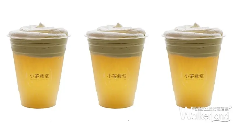 小茶栽堂 / WalkerLand窩客島整理提供