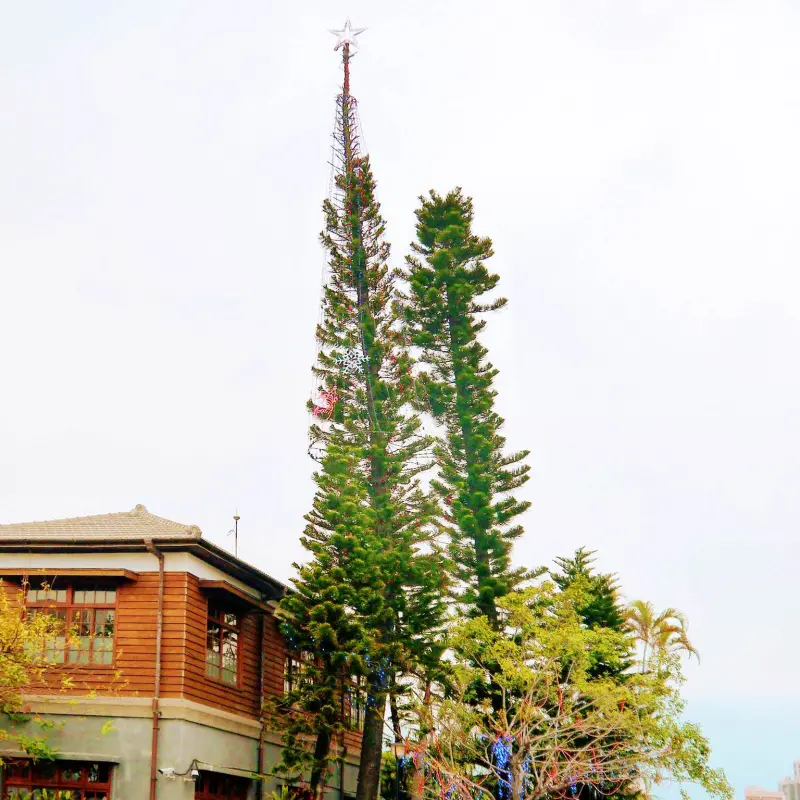 來去花蓮過聖誕！花蓮最高聖誕樹點燈囉！我們相約花蓮文創園區見！ 