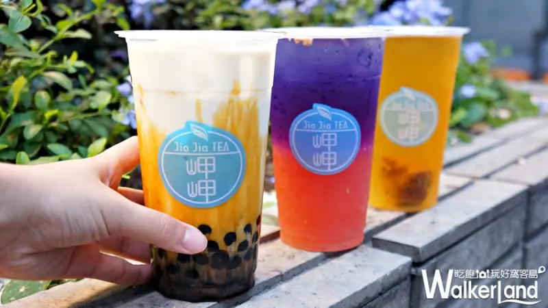 岬岬 / WalkerLand窩客島提供