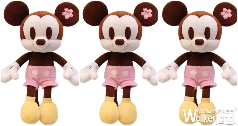 迪士尼櫻花季 / WalkerLand窩客島整理提供 未經許可不可轉載