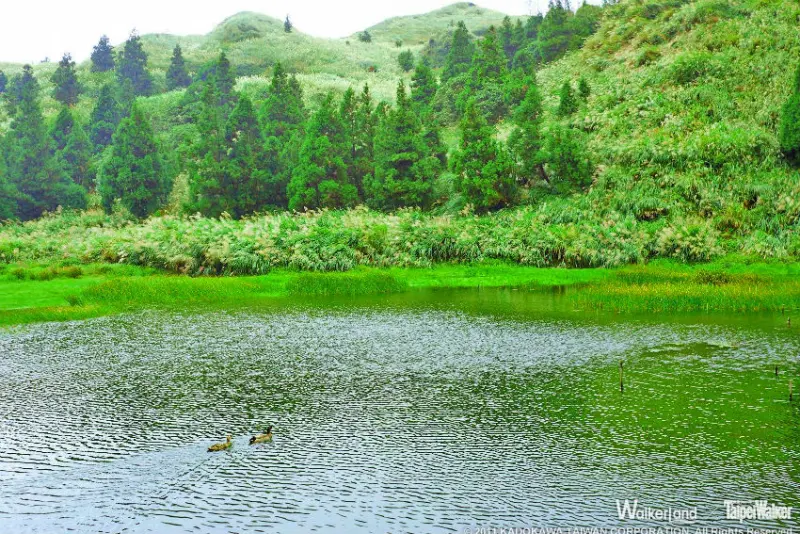 陽明山夢幻湖