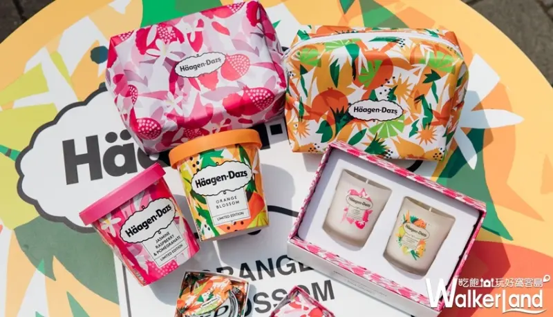Häagen-Dazs / WalkerLand窩客島提供