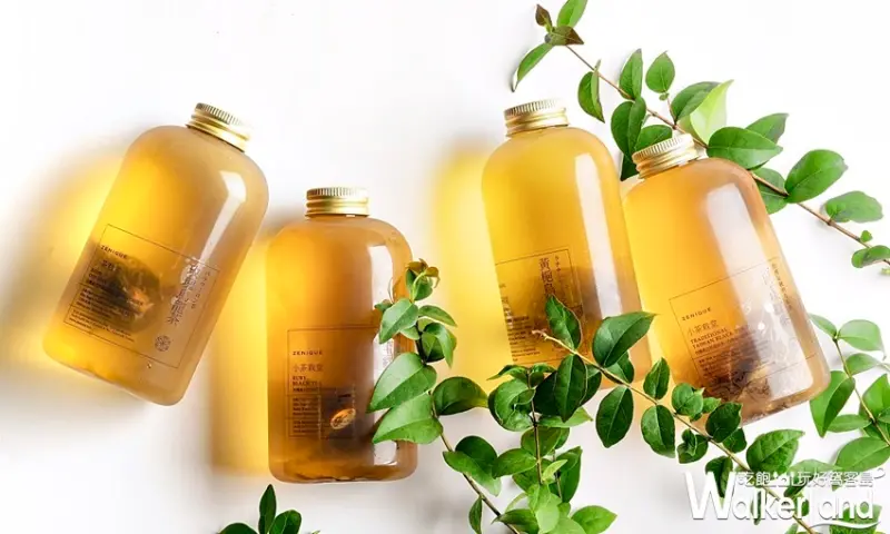 小茶栽堂 / WalkerLand窩客島整理提供