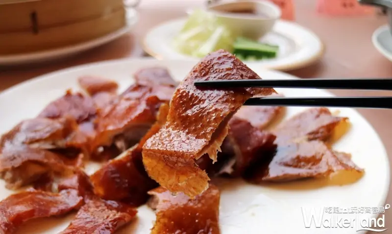 TICC世貿會館 / WalkerLand窩客島整理提供