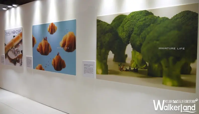 微型展2.0 田中達也的奇幻世界 / WalkerLand窩客島提供
