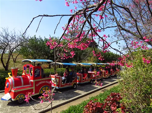 圖片來源：「小叮噹科學主題樂園」官方粉絲團