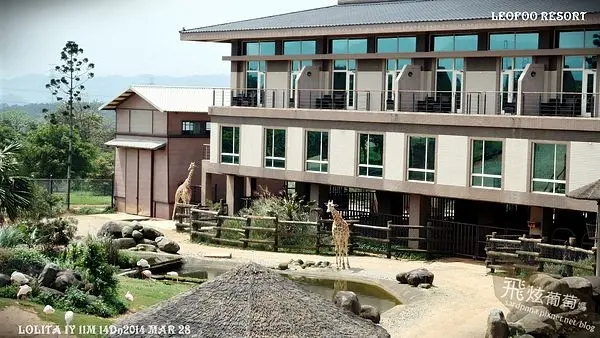 新竹住宿x慶生||跟動物近距離接觸 關西六福莊生態渡假旅館X私房休閒活動part 1