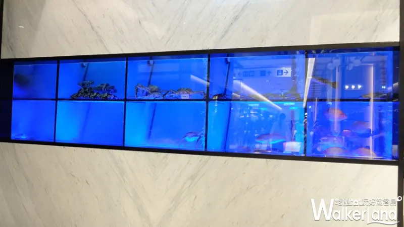 新加坡國寶海鮮「珍寶海鮮」/ WalkerLand窩客島提供