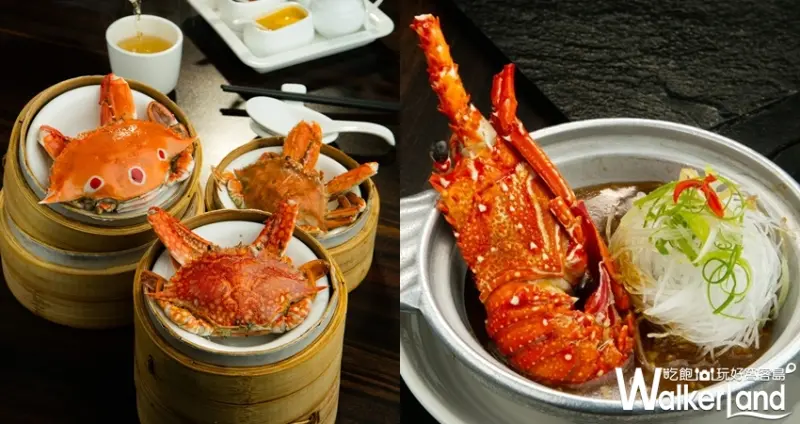 秋蟹吃到飽大戰正式開打！大八潮坊祭出799元「螃蟹、龍蝦吃到飽」，穩坐最高CP值稱號。