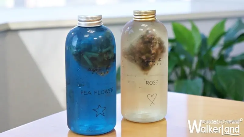 agnès b. CAFÉ / WalkerLand窩客島提供