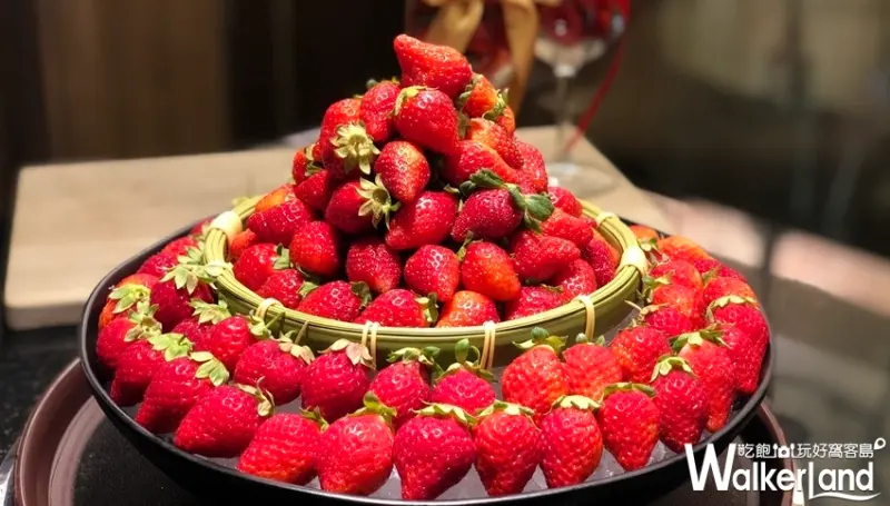 台北燒肉吃到飽「熊一燒肉」 / WalkerLand窩客島提供