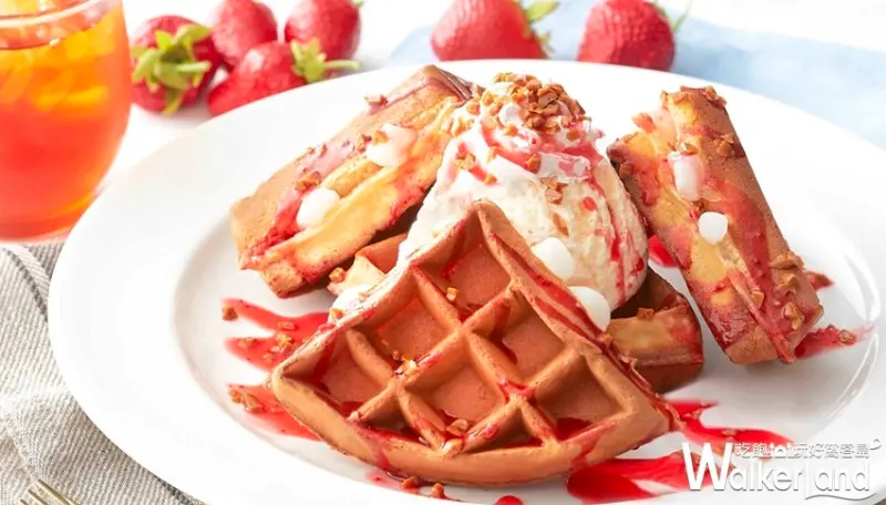 COLD STONE / WalkerLand窩客島提供