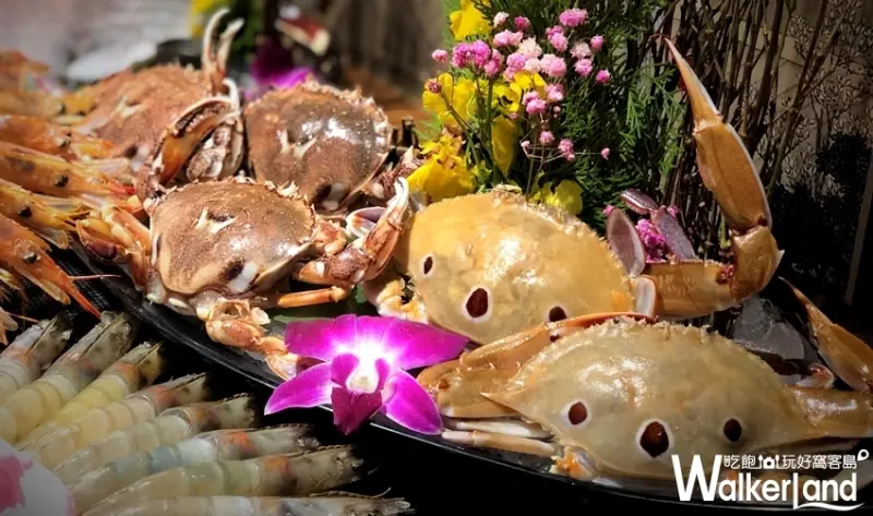 台北吃到飽火鍋「馬辣頂級麻辣鴛鴦火鍋」 / WalkerLand窩客島提供